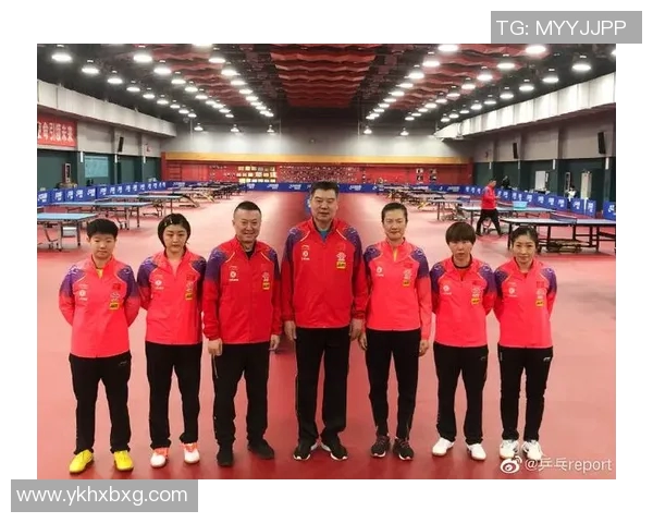 上海乒乓球队选拔赛背后的拼搏故事与奋斗历程揭秘