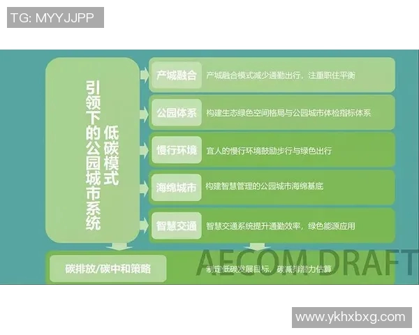 深入分析成都排球队防反战术的核心策略与实施效果