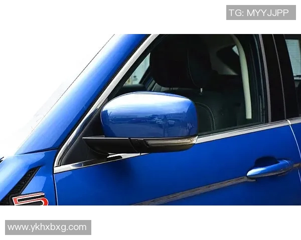 成都羽毛球队在洲际杯积分榜上以65分稳居第一名展现强劲实力