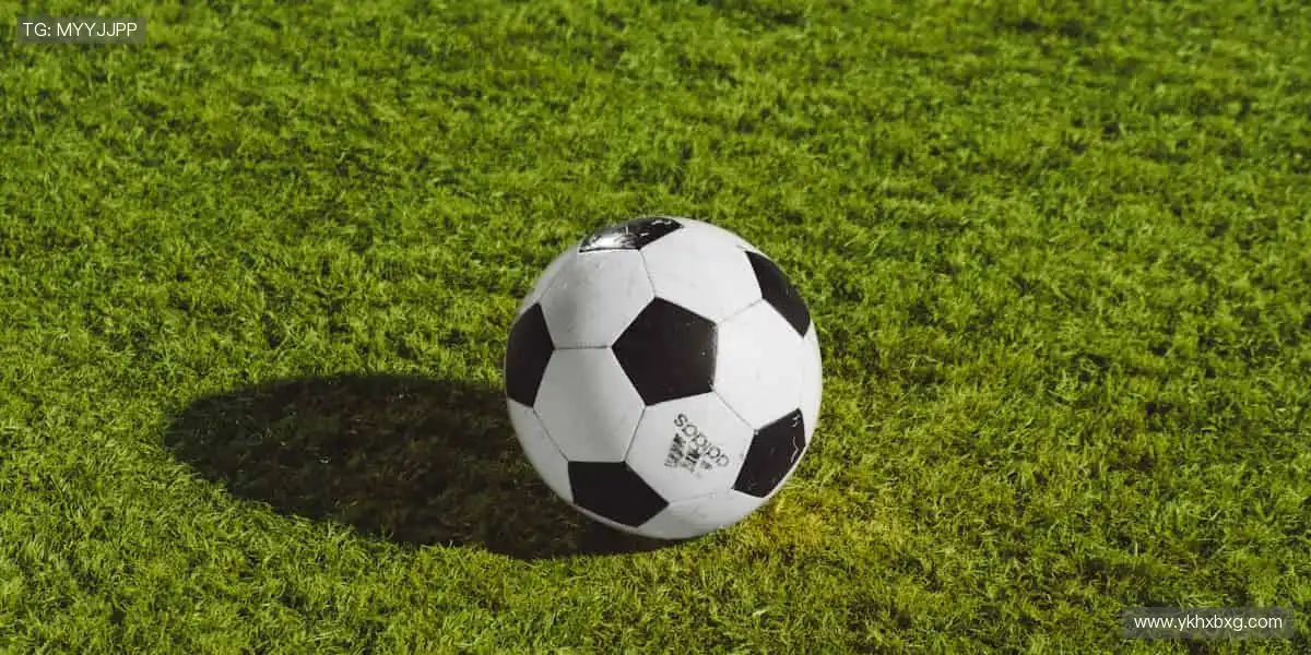 🎯冠军同款，即刻拥有！✨ 体育周边，点燃你的热爱！